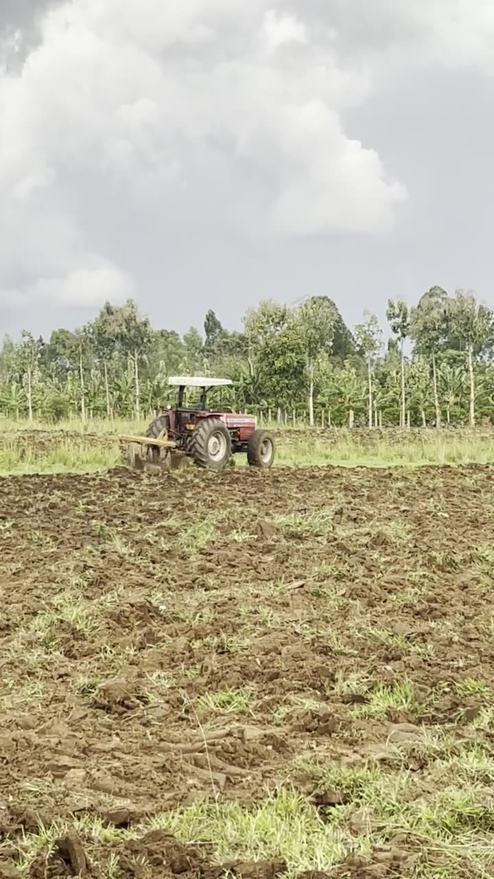 Tractor working the rows at TEGOT Farmstead