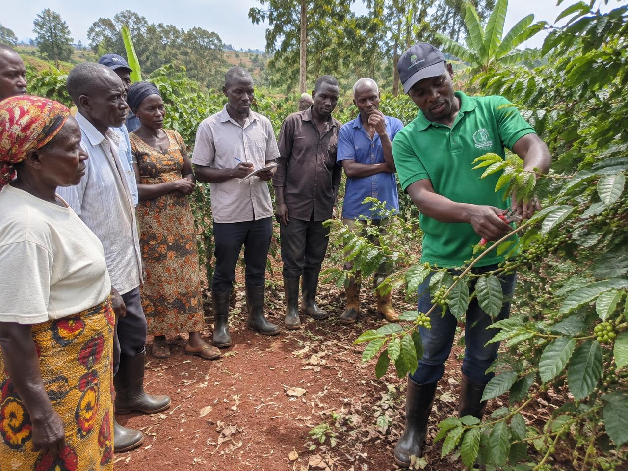 Training & farm visits